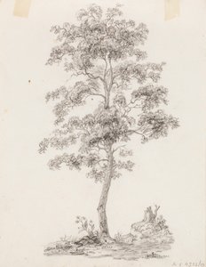 Árbol de Victoria Åberg