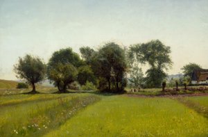 Niños jugando en los campos