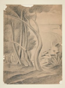 Paisaje