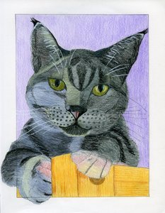Un gato gris curioso se asoma de Viktoriia Saunina