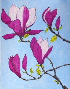 Flores de magnolia moradas de Viktoriia Saunina