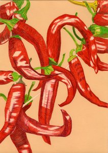 Pimientos rojos picantes de Viktoriia Saunina