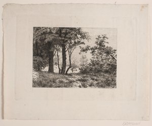 Robles en el borde de un bosque