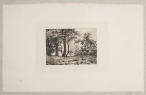 Robles en el Borde de un Bosque