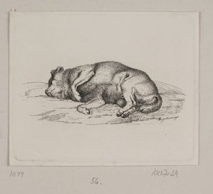 Un perro acostado de Vilhelm Kyhn