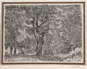 La casa en el bosque