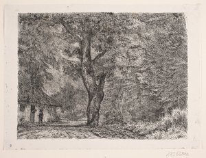 La casa en el bosque