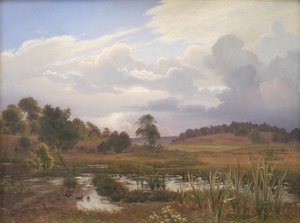 Paisaje cerca del bosque Nordskoven, Jægerspris, Zelanda de Vilhelm Kyhn
