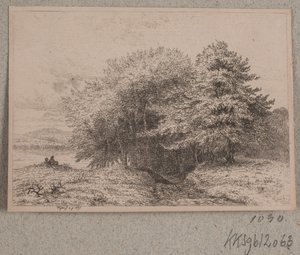 Borde de un bosque de Vilhelm Kyhn