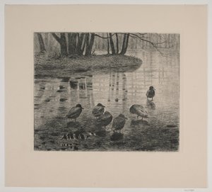 Patos de Vilhelm Th. Fischer