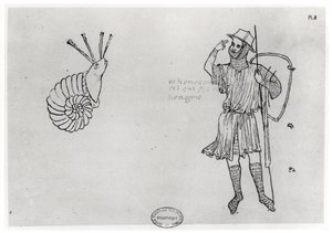 Fol.2 Caracol y soldado húngaro (copia facsímil)