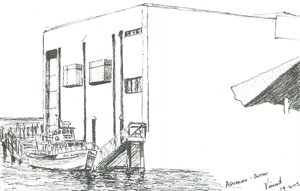 Acuario Boston Mass, 2003 de Vincent Alexander Booth