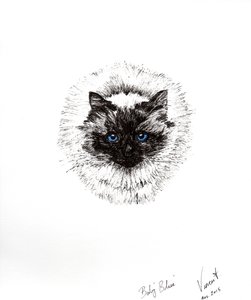 Bebé pelota, 2015 de Vincent Alexander Booth