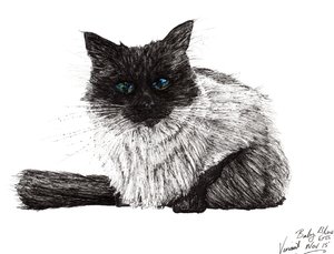 Ojos azul bebé, 2015 de Vincent Alexander Booth