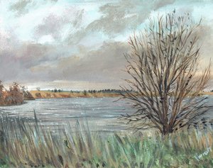 Fannyside Loch, 2009 de Vincent Alexander Booth
