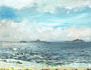 Playa de Iona, 2007 de Vincent Alexander Booth