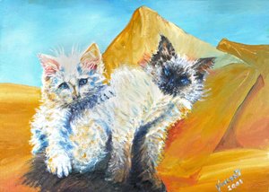 Gatitos Monty y Baby de Vincent Alexander Booth
