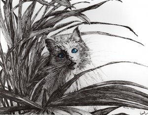 Planta Monty, 2015 de Vincent Alexander Booth