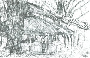 Bar al aire libre, lago Naivasha de Vincent Alexander Booth