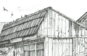 Palomar, 2003 de Vincent Alexander Booth