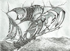 Creadores de tormentas Mar de los Sargazos, 2017 de Vincent Alexander Booth