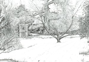 El árbol del pañuelo en los jardines de Monk Coniston, 2024 (tinta sobre papel) de Vincent Alexander Booth