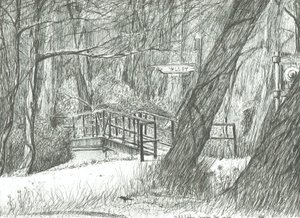 El viejo puente de metal, parque Bramhall, 2004 de Vincent Alexander Booth