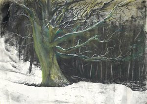 Árbol en nieve de invierno en los bosques de Osmotherley de Vincent Alexander Booth