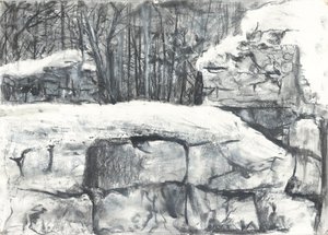 Muro en el bosque Osmotherley de Vincent Alexander Booth