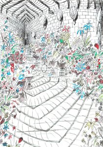 página 37, El castillo en el bosque de Findhorn, 2006 de Vincent Alexander Booth