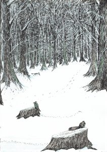página 5, El castillo en el bosque de Findhorn, 2006 de Vincent Alexander Booth