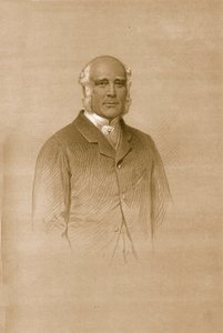 Sr. G. Lane Fox, 1879 de Vincent Brooks Day and Son