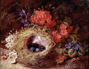 Naturaleza muerta de un nido de pájaro y flor de Vincent Clare