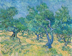 Olivar, 1889 de Vincent van Gogh