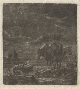 Paisaje nocturno con pastor dormido y ganado. de Vincent Laurensz. van der Vinne (II)