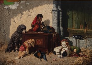 Compañeros de circo de Vincent de Vos