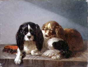 Spaniels del rey Carlos