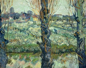 Vista de Arles