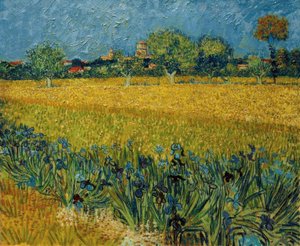 Vista de Arles con iris en primer plano