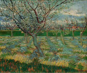 Huerto en flor con albaricoqueros de Vincent van Gogh