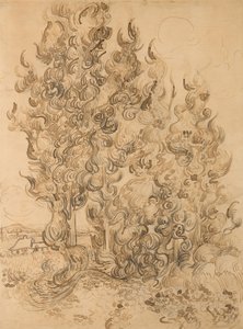 Cipreses de Vincent van Gogh