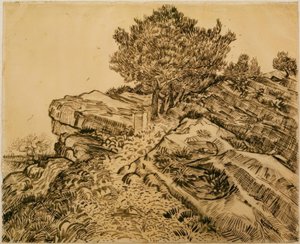 La roca de Montmajour con pinos