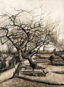El jardín de la casa parroquial en Nuenen. 1884 de Vincent van Gogh