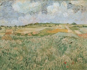 La llanura de Auvers con nubes de lluvia