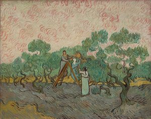 Mujeres en la cosecha de aceitunas. 1889 de Vincent van Gogh