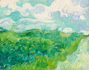 Campos de trigo verde, Auvers