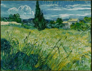 Campo de Trigo Verde con Ciprés