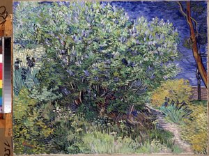 ""The Lilac Bush"" (Arbusto lila) Pintura de Vincent van Gogh (1853-1890) 1889 Dim. 72x92 cm Museo del Hermitage, San Petersburgo (San Petersburgo) de Vincent van Gogh