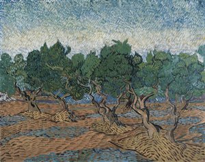 Olivar de Vincent van Gogh