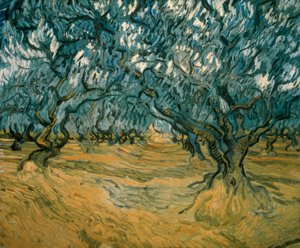 Olivos de Vincent van Gogh